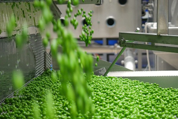 Seitenbild: FRoSTA Standort Elbtal