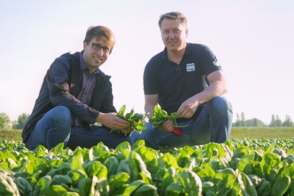 Seitenbild: FRoSTA Standort Rheintal