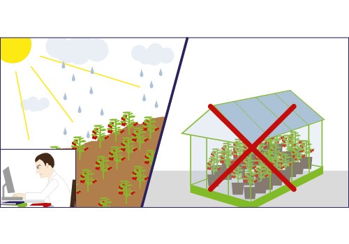 Illustration: Klimaschutz bei FRoSTA (2)