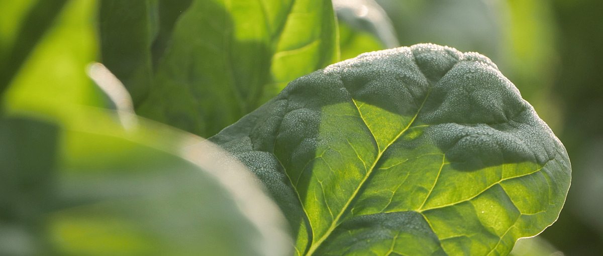 Hero: Sourcing / Lieferanten